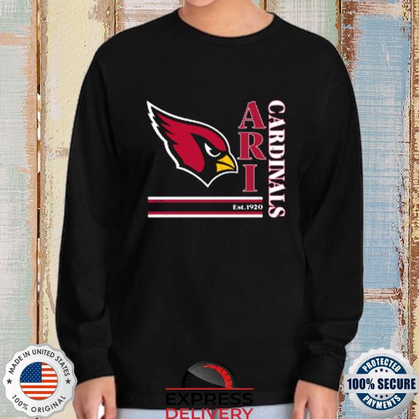 Arizona Cardinals Wordmark Est 1920 Shirt, hoodie, sweater, long