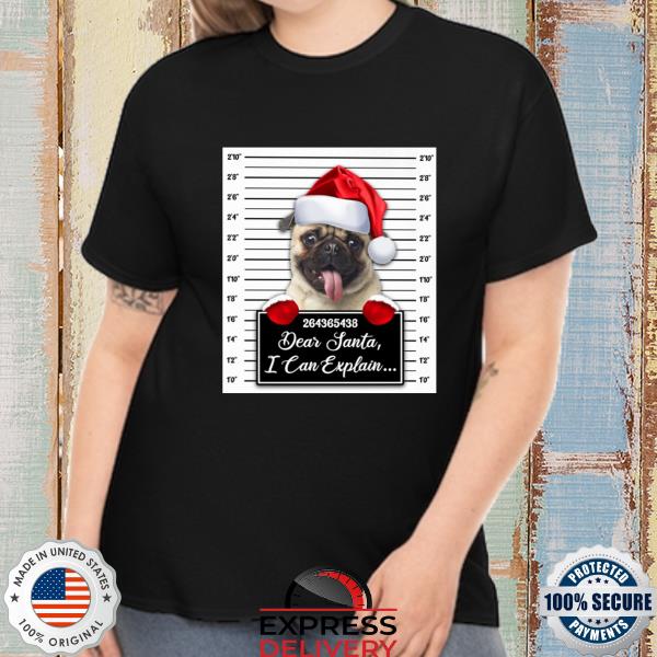 Santa Pug dear santa I can explain 2022 Christmas Sweater
