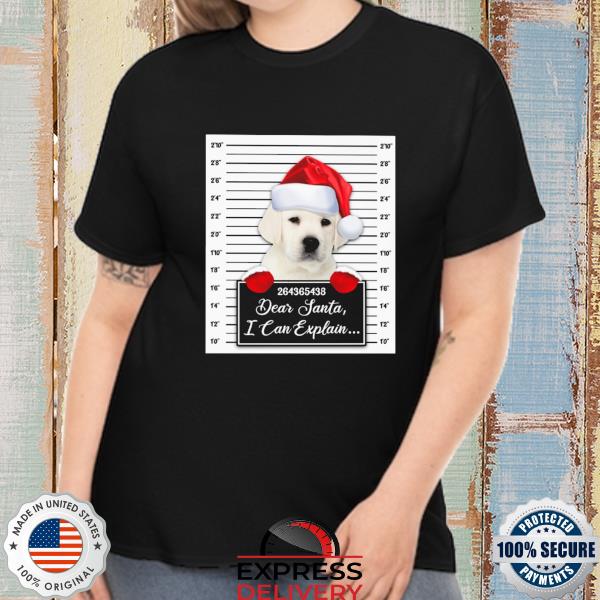 Santa White Labrador dear santa I can explain 2022 Christmas Sweater