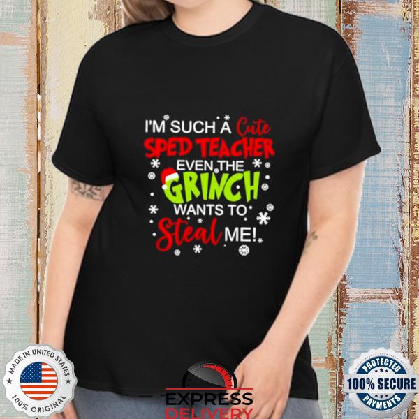 Official i’m such a cute Special Education Teacher even the Grinch wants to steal me sweater
