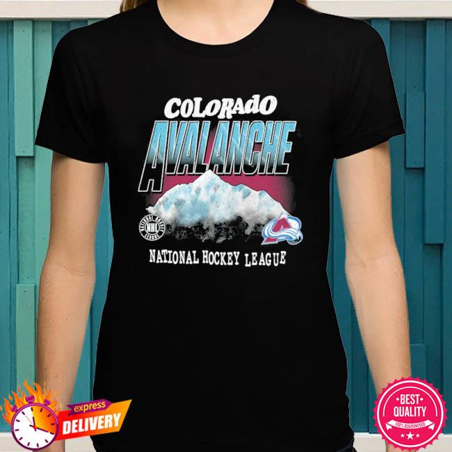 Original colorado Avalanche all the small things shirt, hoodie, sweater,  long sleeve and tank top