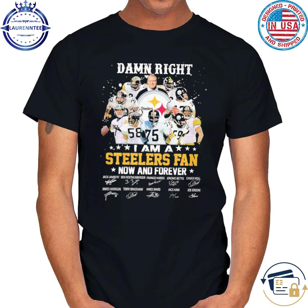 Pittsburgh Steelers Conquered The North NFL 2023 Playoff T-Shirt, hoodie,  sweater, long sleeve and tank top