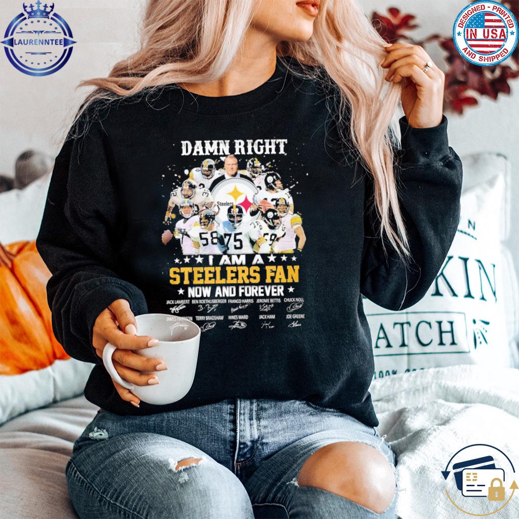 The Pittsburgh Steelers Greene Harris And Bradshaw Signatures Logo 2023 T- shirt,Sweater, Hoodie, And Long Sleeved, Ladies, Tank Top