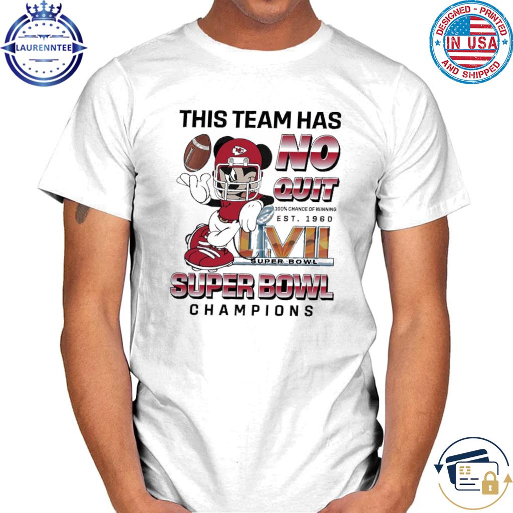 super bowl funny shirt